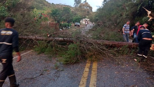 Chuva com ventos fortes derruba árvores e interdita MG-290, em Inconfidentes, MG