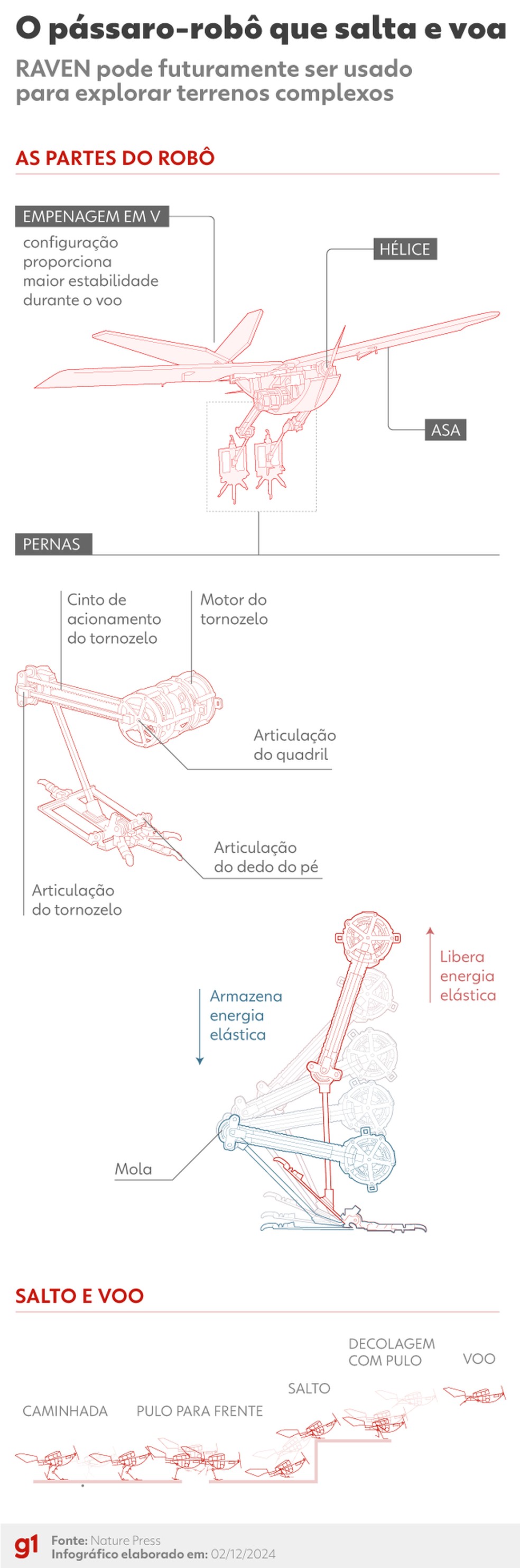 Pássaro-robô — Foto: Arte/g1