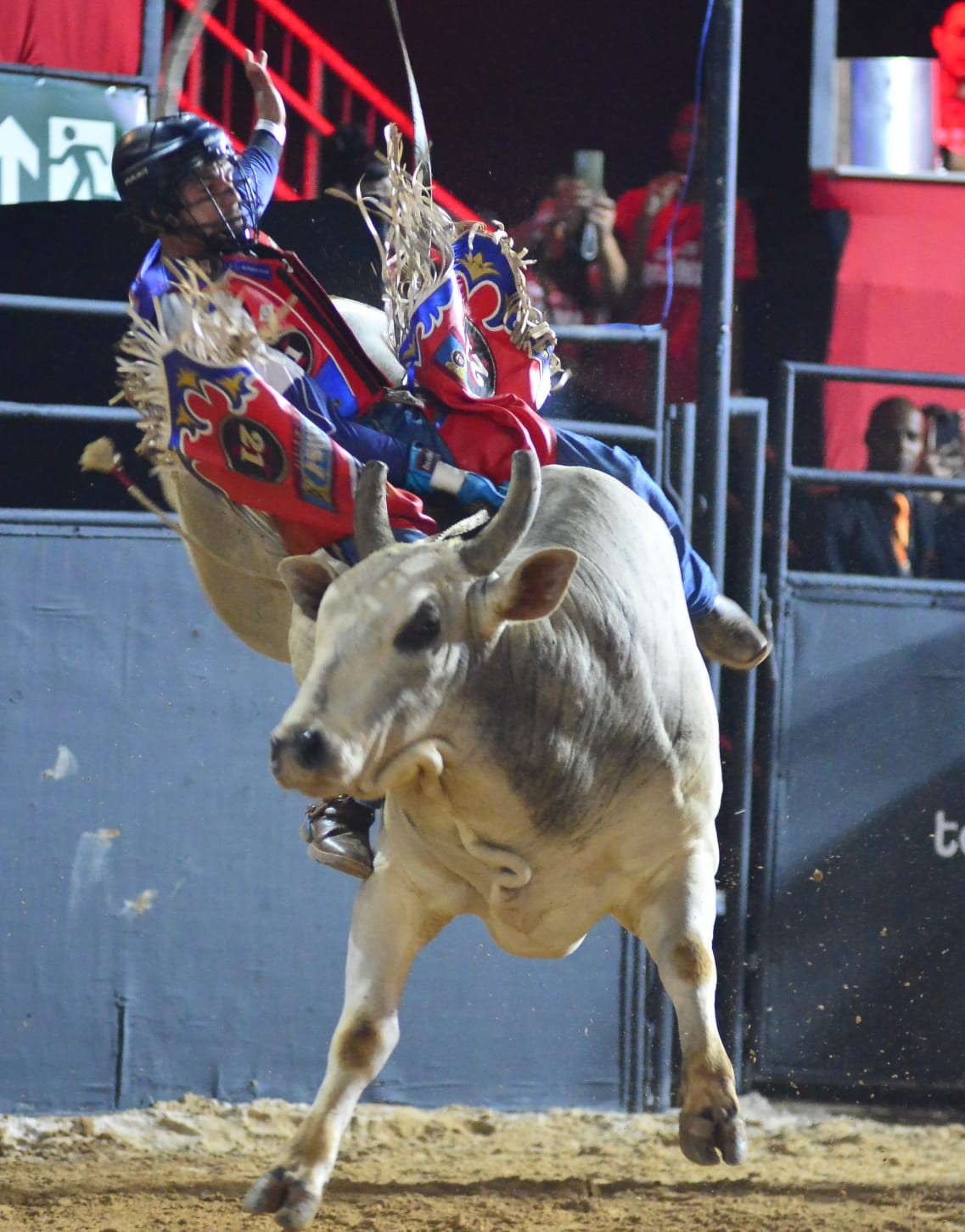 Time Cowboys é campeão da noite na montaria em touros em equipe do ...