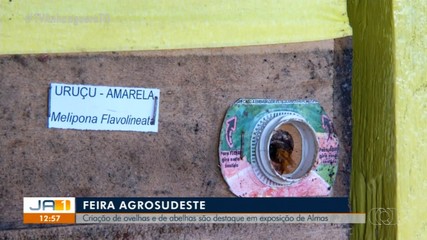 Criação de abelhas é destaque na feira Agrosudeste