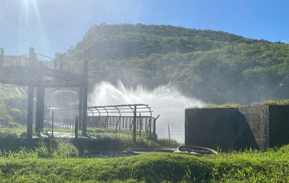 Águas do açude Orós, o segundo maior reservatório do Ceará. — Foto: Ednardo Alves/SVM