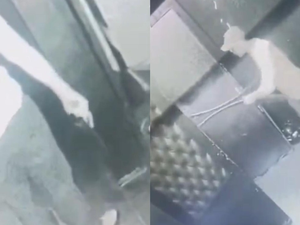 PM agride segurança e tenta entrar em boate de Porto Velho — Foto: Reprodução