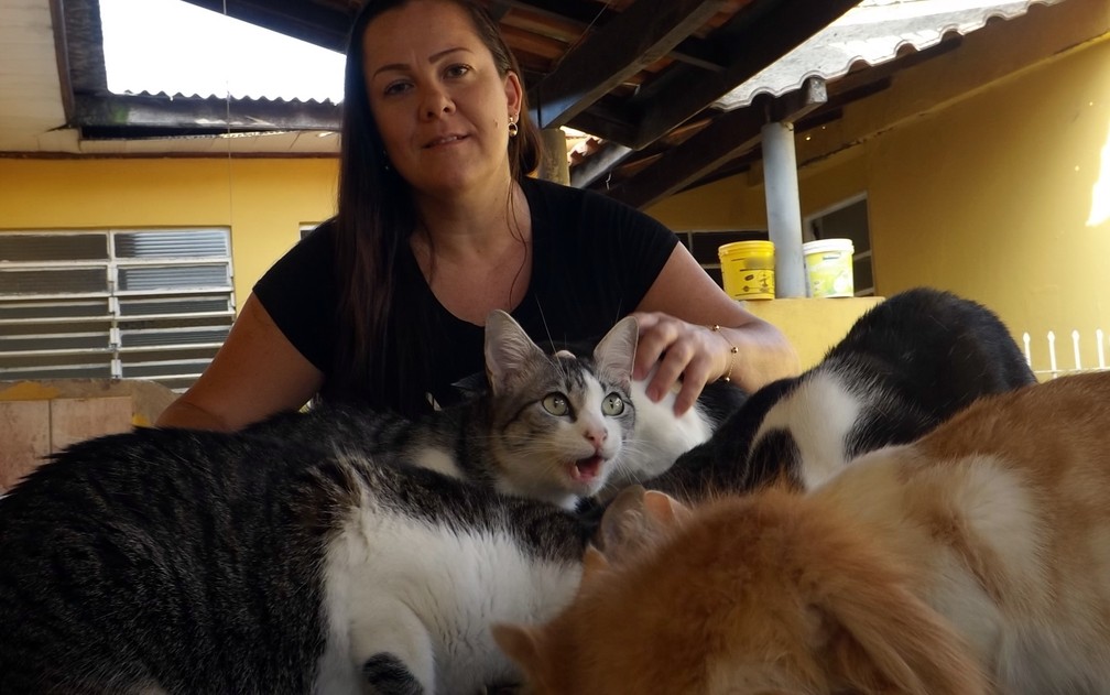 PASSEI O DIA CUIDANDO DO GATINHO ABANDONADO!!! - Animal Shelter