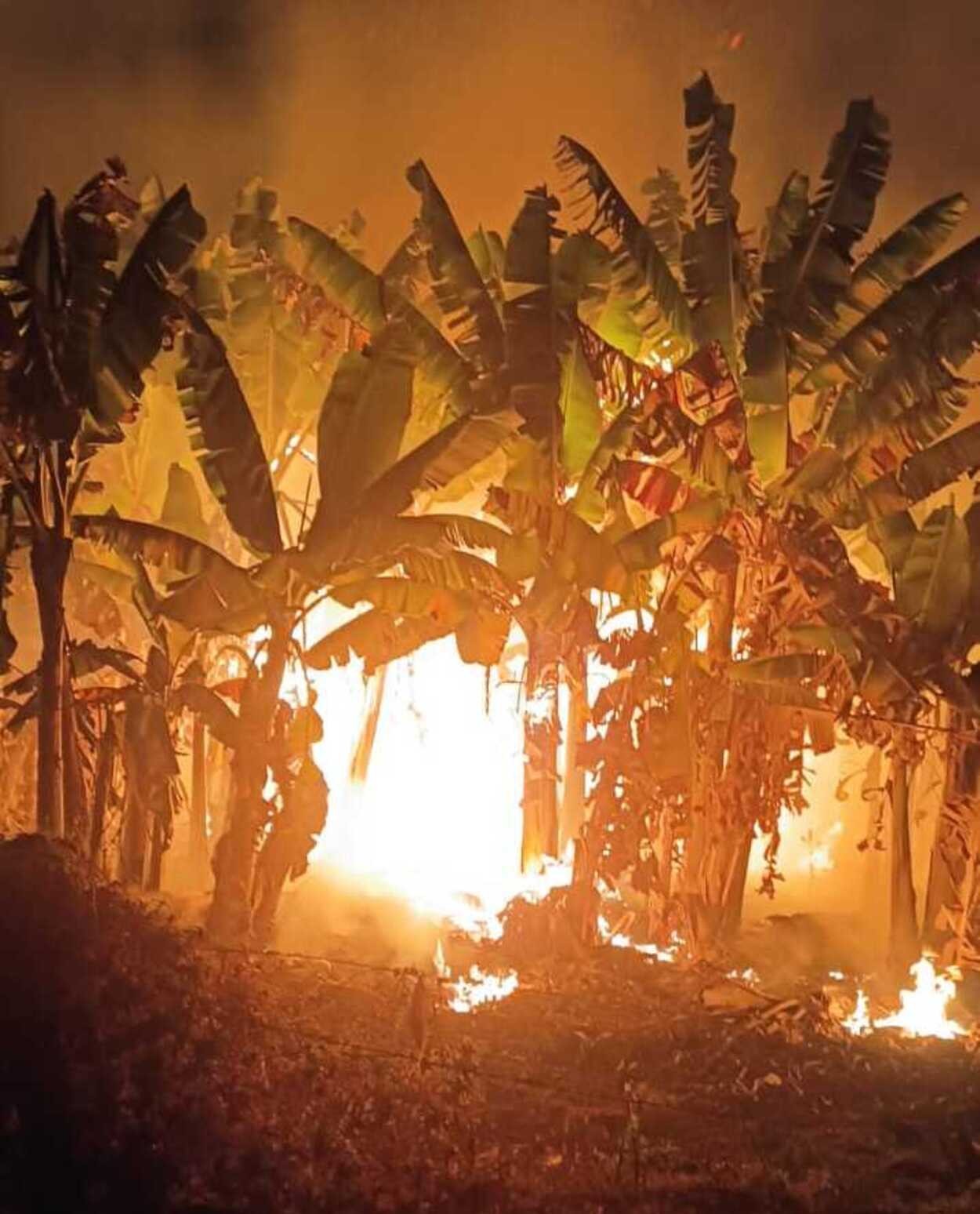 Incêndio atinge bananal de 12 hectares e mobiliza bombeiros por nove horas em Janaúba