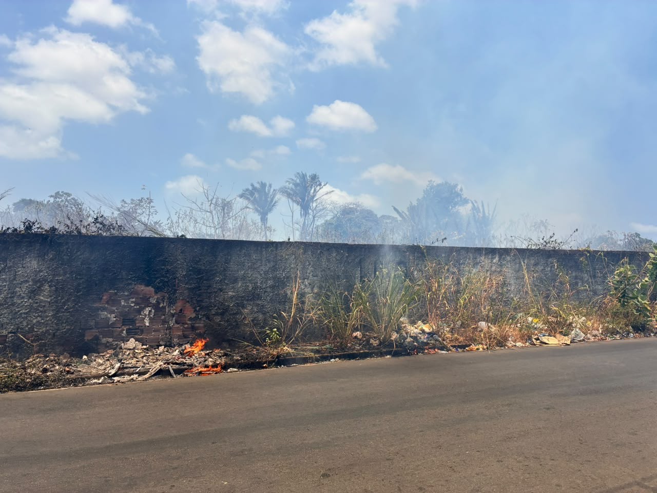 Incêndio atinge terreno e fumaça se espalha por avenida no bairro Turu, em São Luís