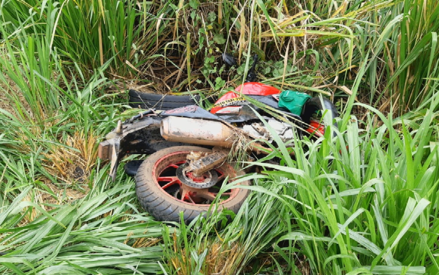 Motociclista morre após bater contra carro em rodovia de Goiás 