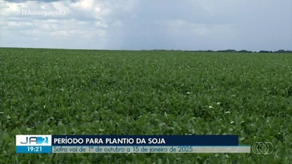 Período de plantio da soja vai de 1º de outubro a 15 de janeiro de 2025