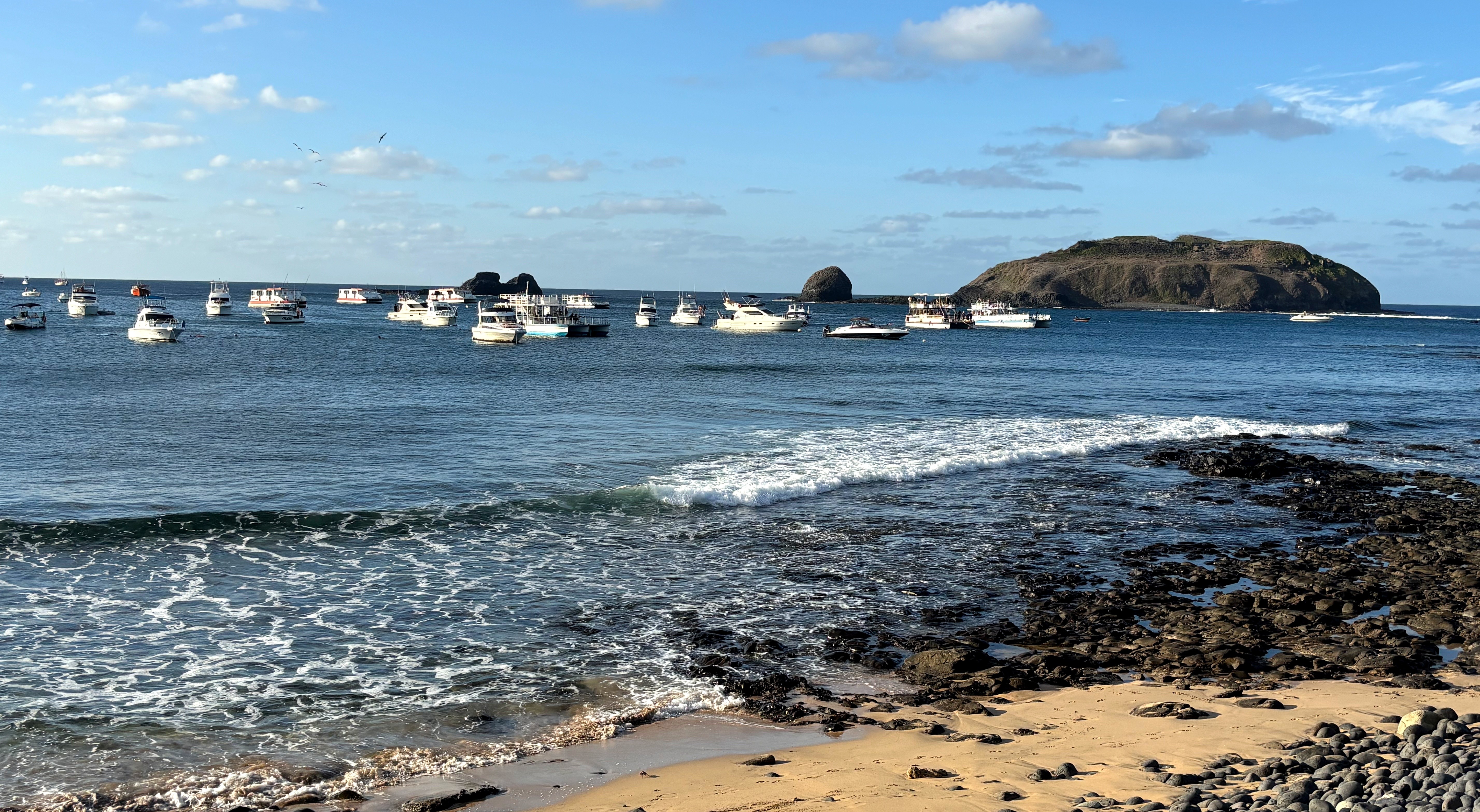 Turista é mordida por tubarão durante mergulho em Fernando de Noronha