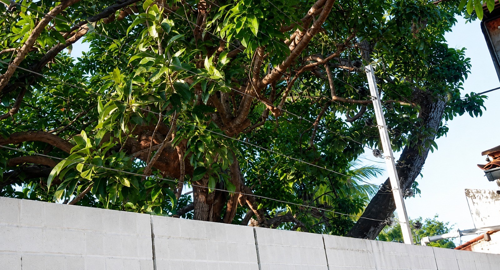 Equatorial orienta sobre a instalação adequada de cercas elétricas