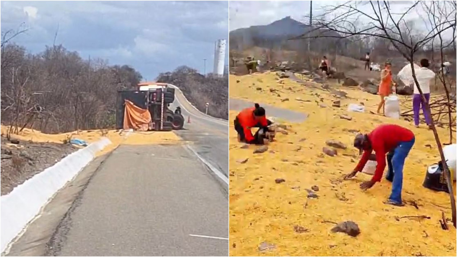 Carreta carregada com milho tomba em rodovia do Ceará; população saqueia carga 