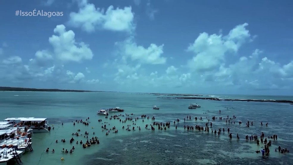 Passeio às piscinas naturais é uma das atrações mais procuradas em Maragogi, Alagoas — Foto: Reprodução/TV Gazeta