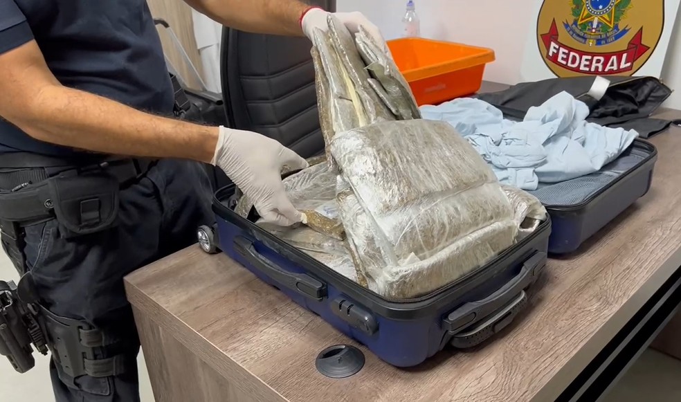 Parte da droga encontrada em Viracopos estava na bagagem de mão do passageiro — Foto: Divulgação/PF