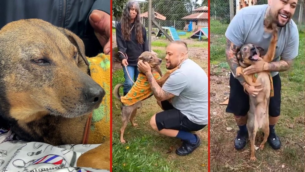 Após mais de um ano separados pela enchente, cão e tutor se reencontram em Canoas | Foto: Reprodução/RBS TV e arquivo pessoal