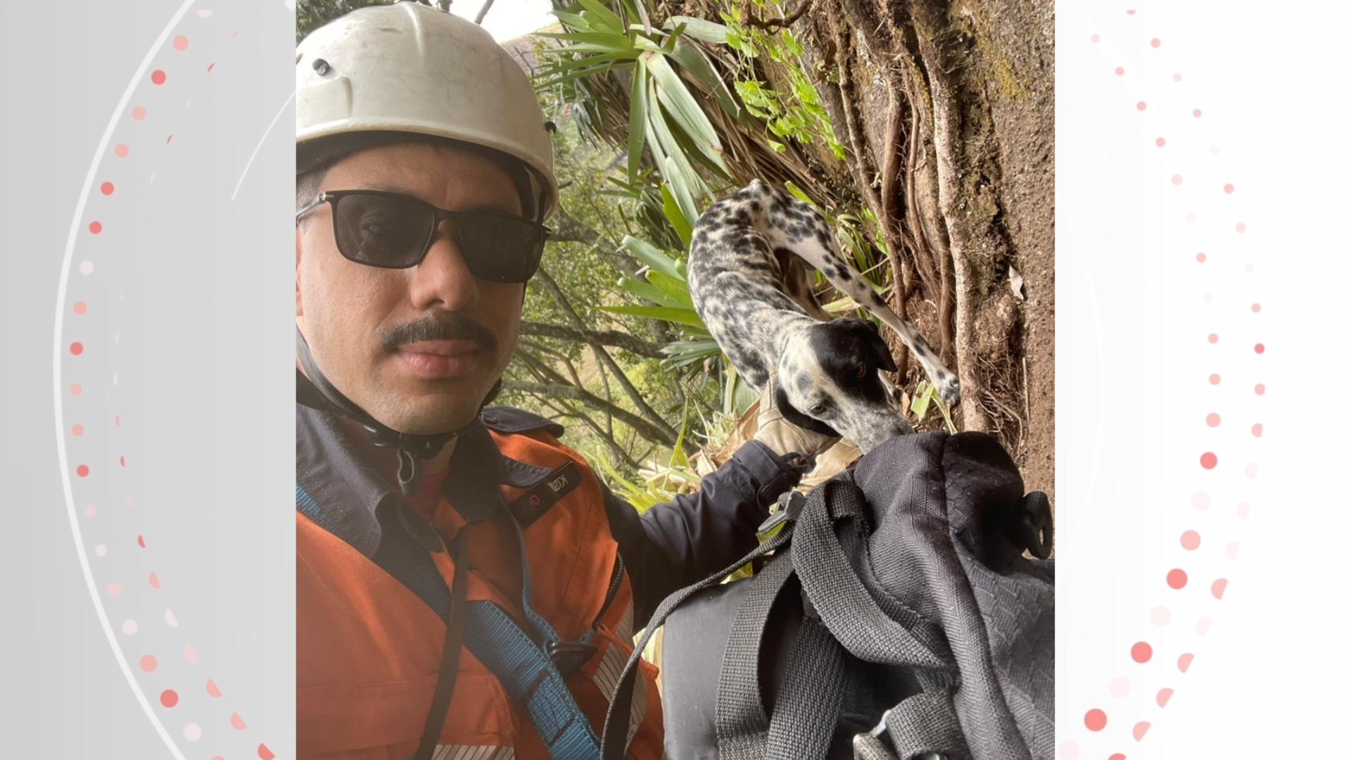 URGENTE! Cão Hulk é Salvo com Rapel Após Noite de Angústia em Penhasco no ES