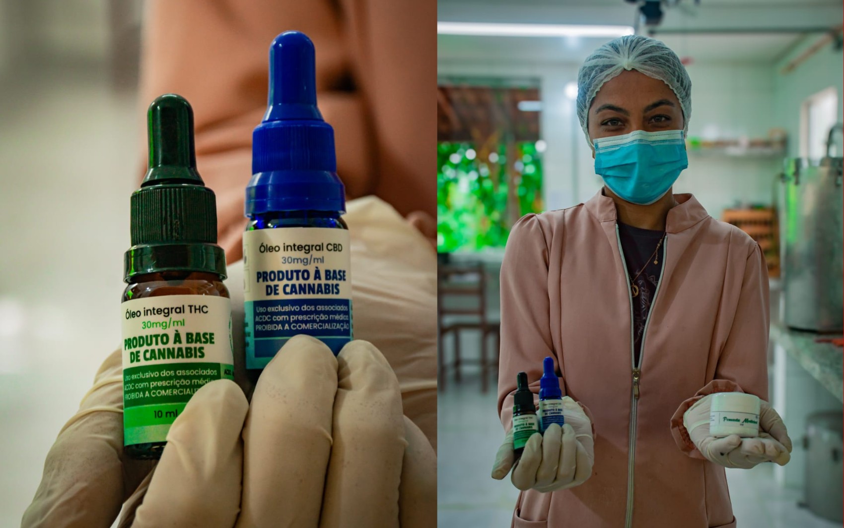 Justiça autoriza que associação plante, transporte e produza óleo de cannabis para fins medicinais na Bahia 