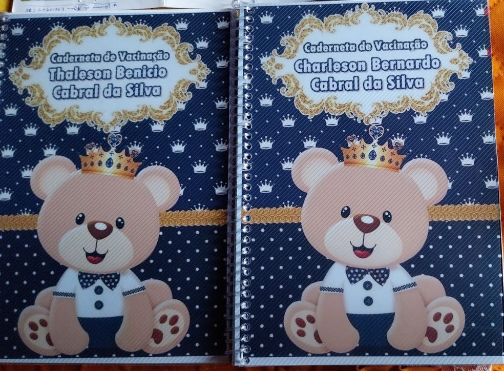 Elizângela já tinha carteirinhas de vacinação dos bebês prontas — Foto: Arquivo pessoal