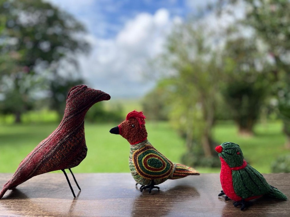 Pássaros são criados por Dona Rosa em uma fazenda em Lagoa da Prata — Foto: Gisele Borges/Divulgação