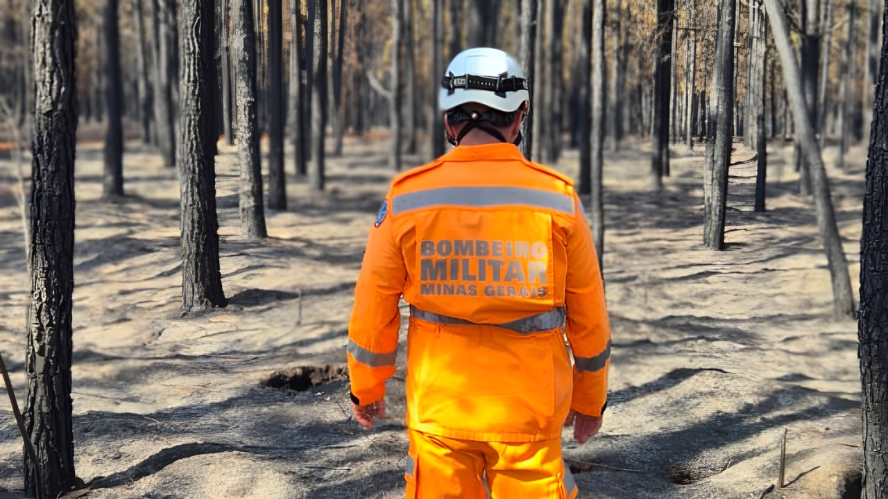 Incêndio na cidade de Prata atingiu plantações de seringueiras e pinus, além de área de pastagem