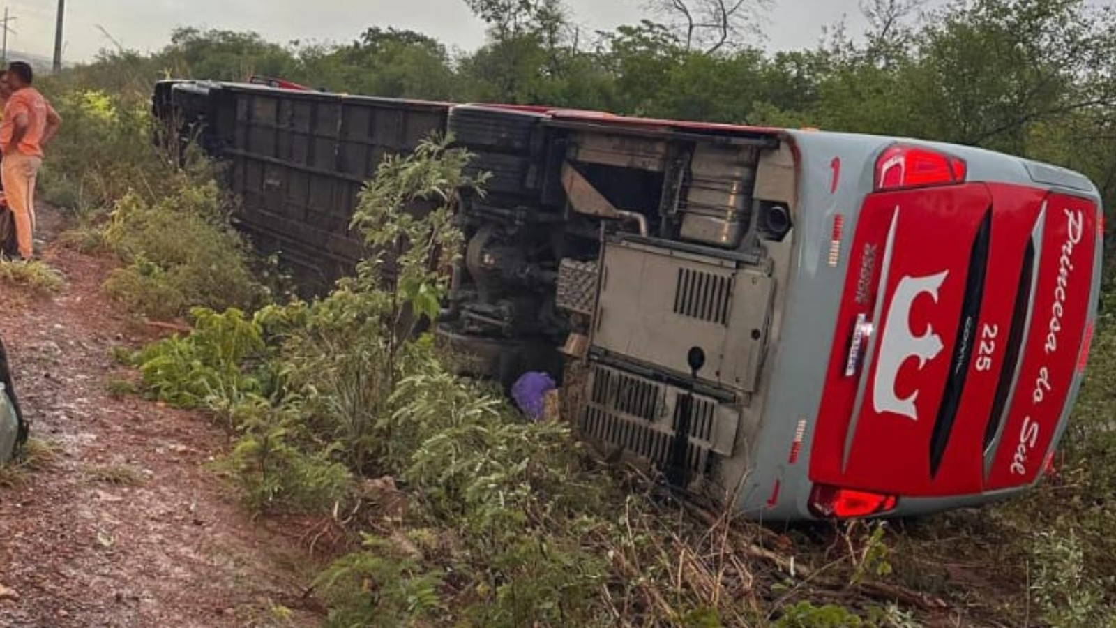 Ônibus com passageiros tomba e deixa feridos na PI-257, no Sul do Piauí