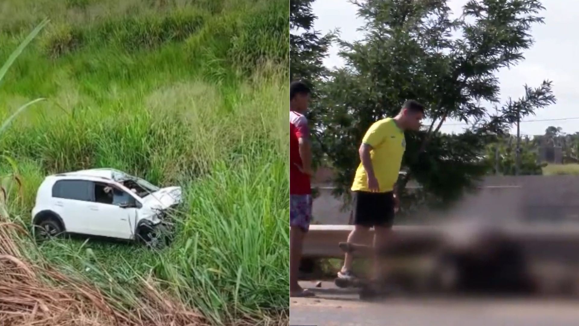 Carro capota após atingir e matar dois cavalos em Imperatriz, no MA; motorista sai ileso