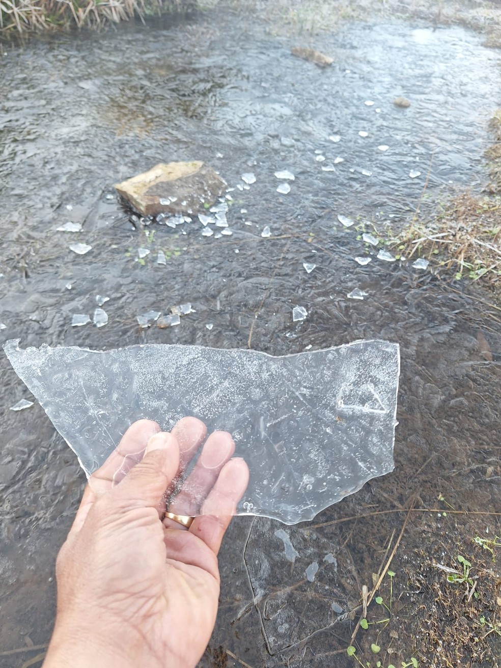 Córregos amanhecem congelados no Parque Nacional do Itatiaia — Foto: Divulgação/Demilson Rodrigues