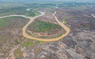 Especialistas explicam por que o Pantanal tem recorde de incêndios em plena época de chuva