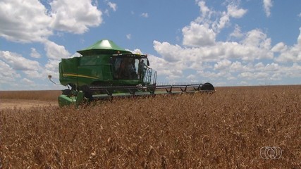 Setor agrícola explora a localização estratégica do Tocantins para escoamento de produção