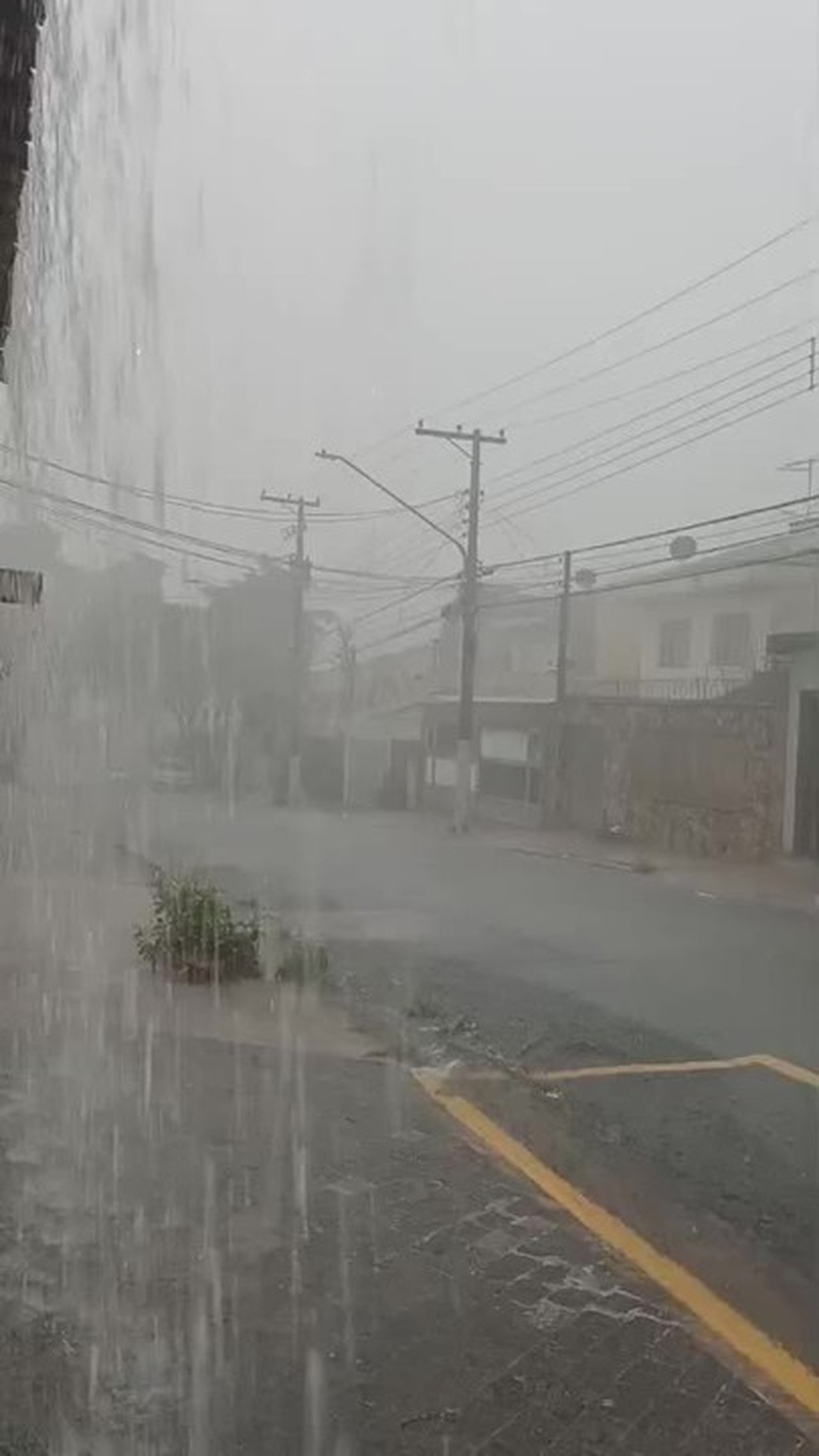 Cidade de SP entra em estado de atenção para alagamentos; Defesa Civil emite mensagem com alerta sonoro no celular