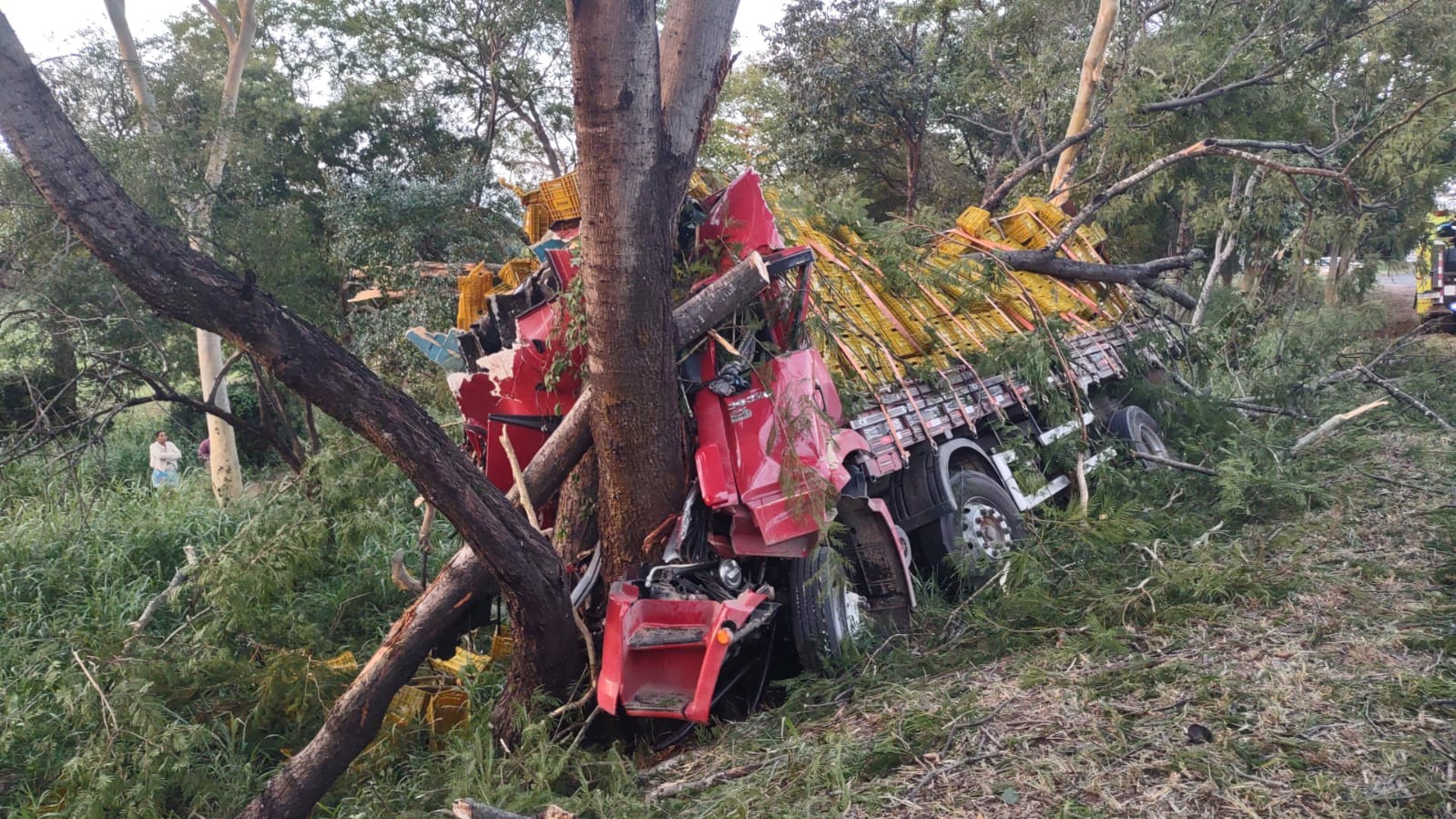 Caminhoneiro morre ao bater em árvore às margens da BR-135, em Engenheiro Navarro