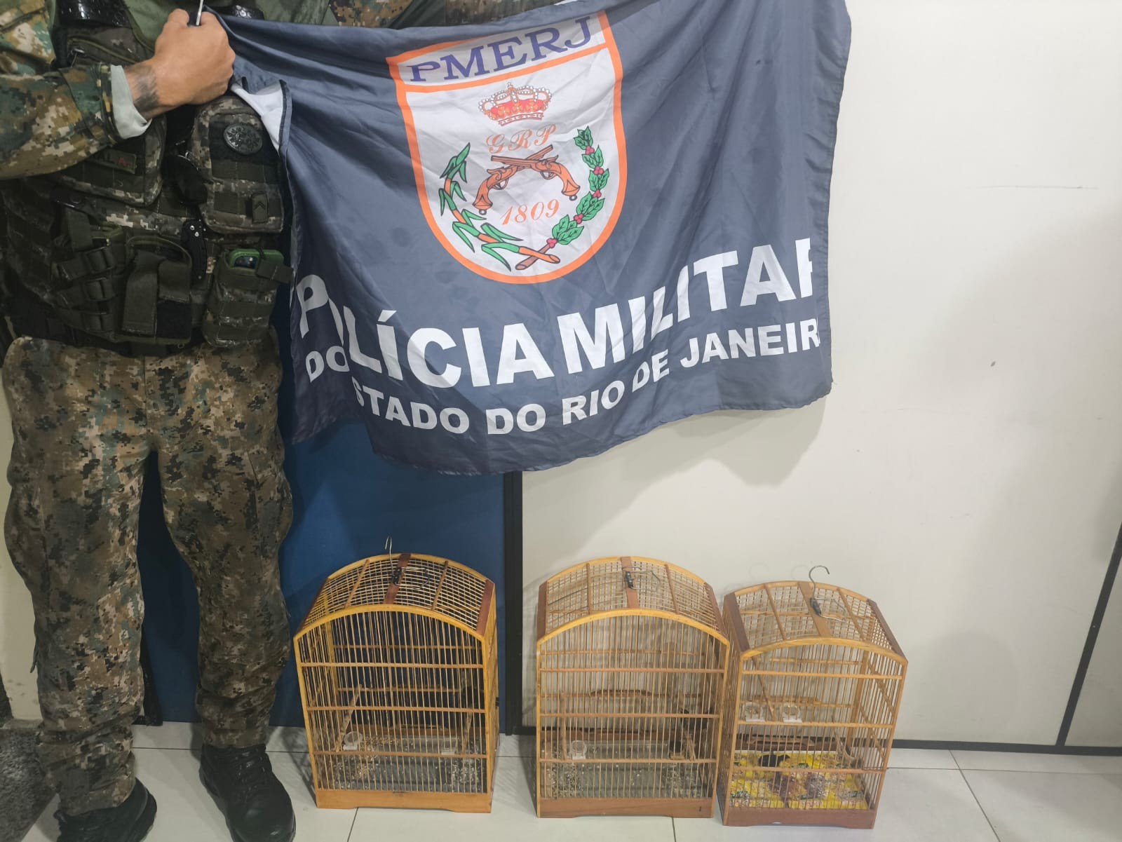 Pássaros são resgatados de cativeiro em Pinheiral