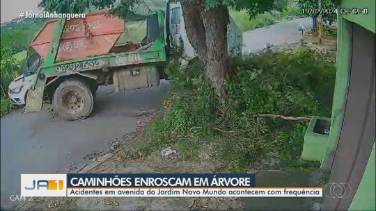 Árvore baixa causa acidentes em avenida do Jardim Novo Mundo - Programa: JA 1ª Edição 