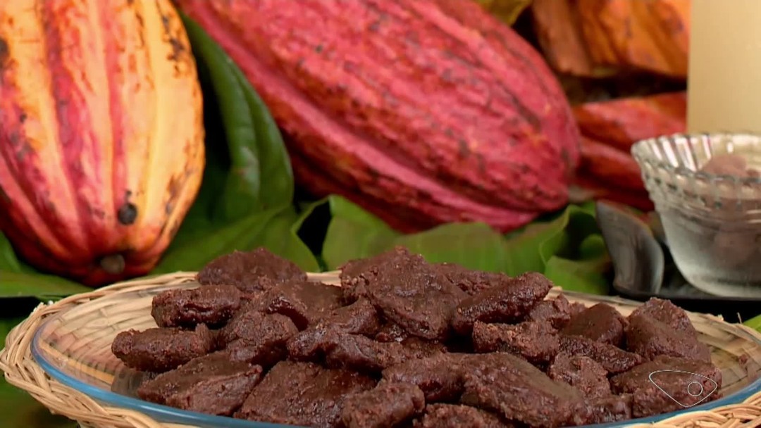 Cacau não é só chocolate: conheça o mel natural feito da fruta no ES