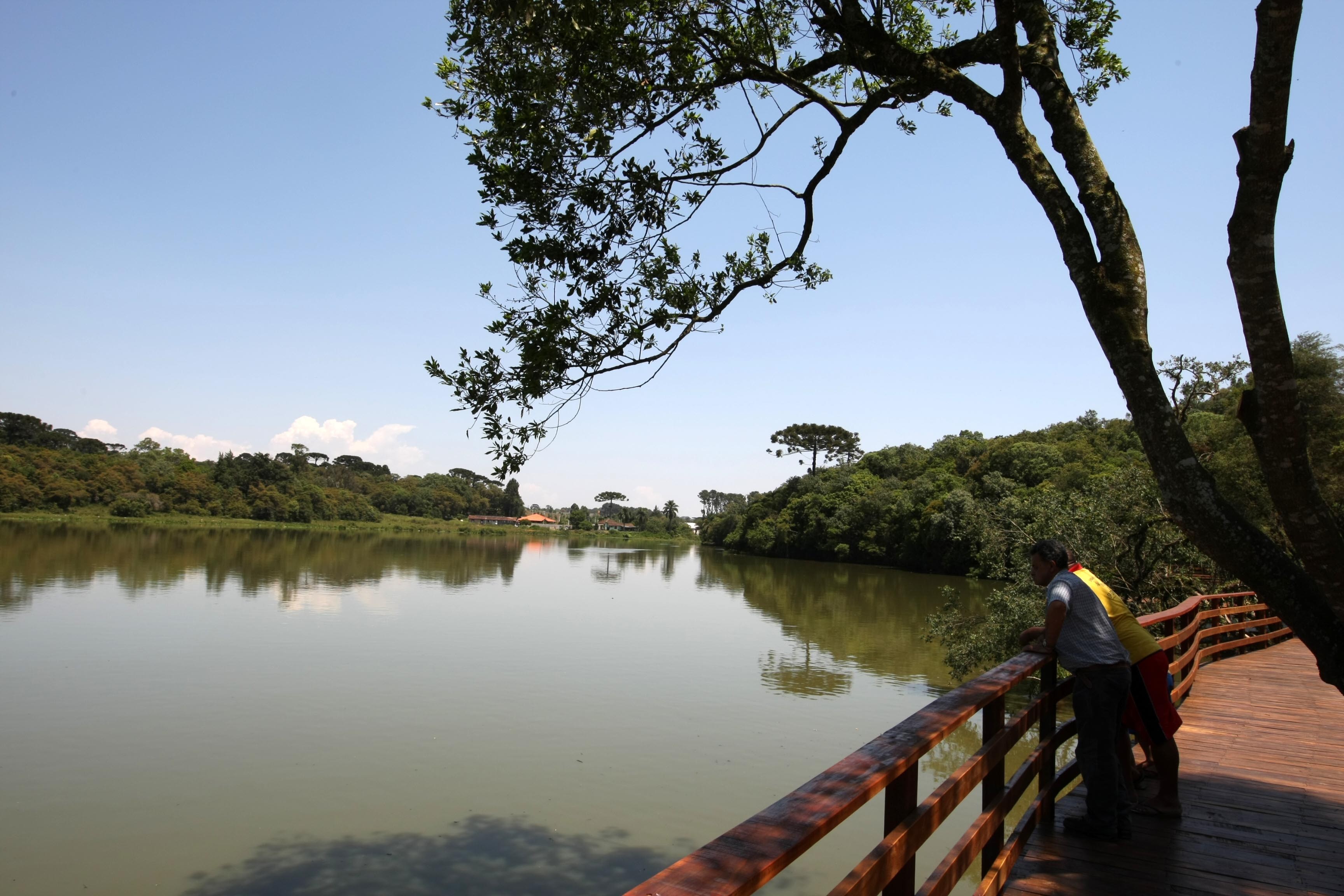 Moradores registram morte de peixes em lago do Parque Tingui, em Curitiba