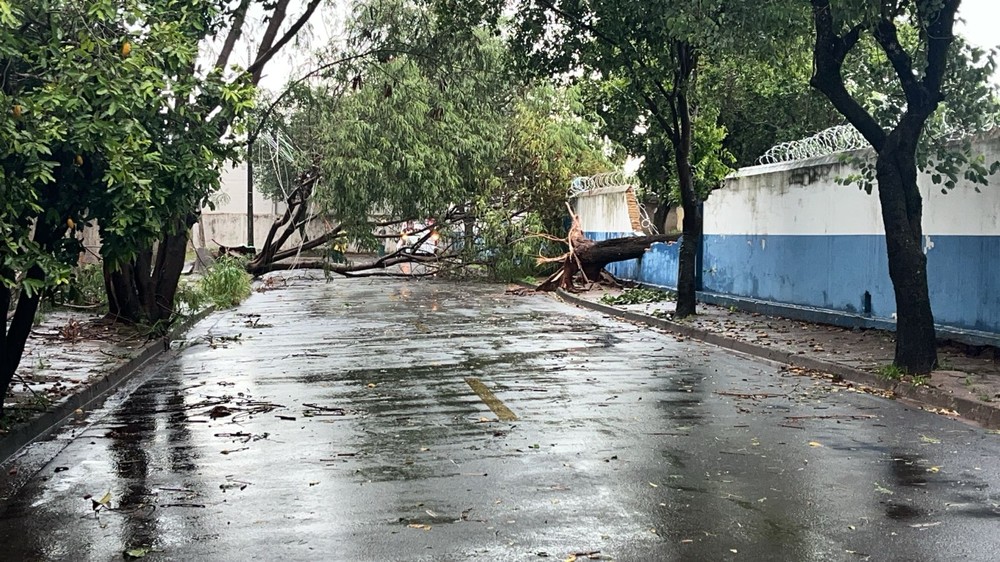 Uberaba tem quedas de árvores, alagamentos e falta de energia durante temporal