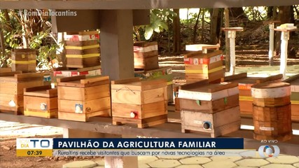 Confira ao vivo o pavilhão da agricultura familiar na Agrotins 2024