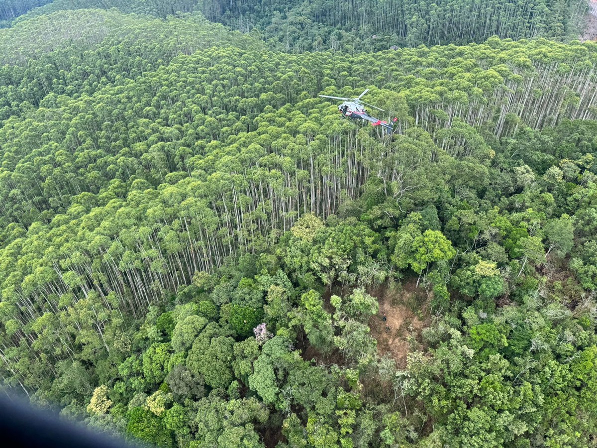 Mata Atlântica densa eucaliptos altos fazendas próximas como é local onde helicóptero foi