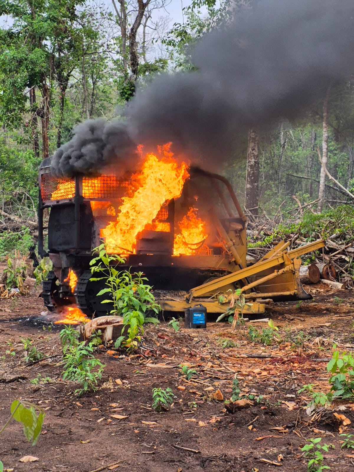 Indígenas reagem à invasão em terra demarcada em MT — Foto: Arquivo pessoal
