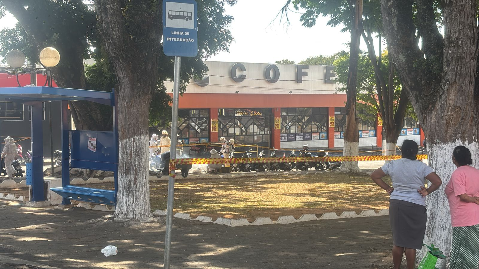 Ataque de abelhas deixa feridos e interdita avenida em Itapetininga