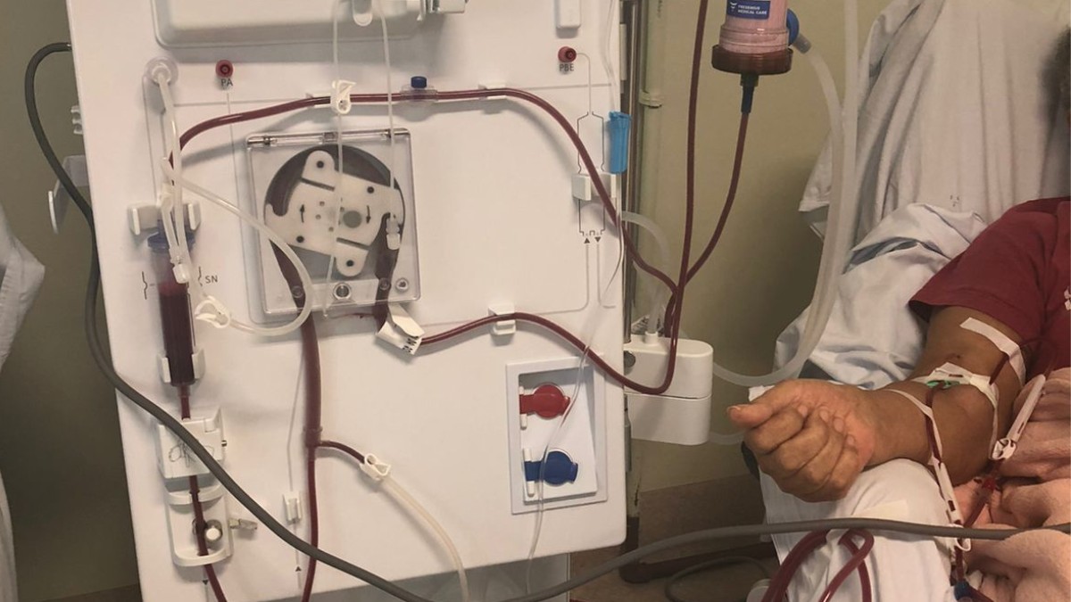 Dia Mundial do Rim: HSJosé reforça a importância da prevenção às doenças renais