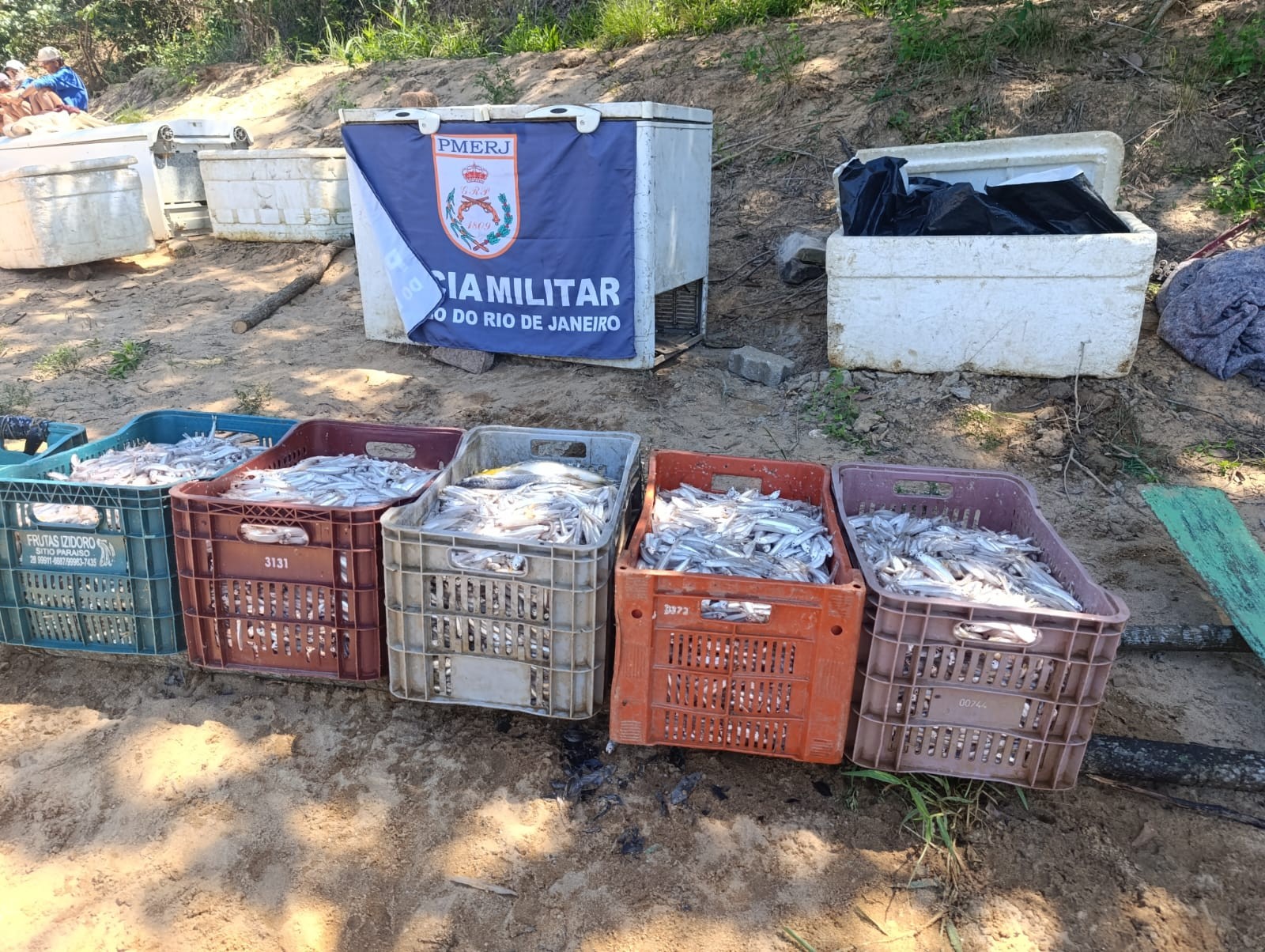 Operação ambiental flagra pesca ilegal em período de defeso no Rio Paraíba do Sul, em São Fidélis