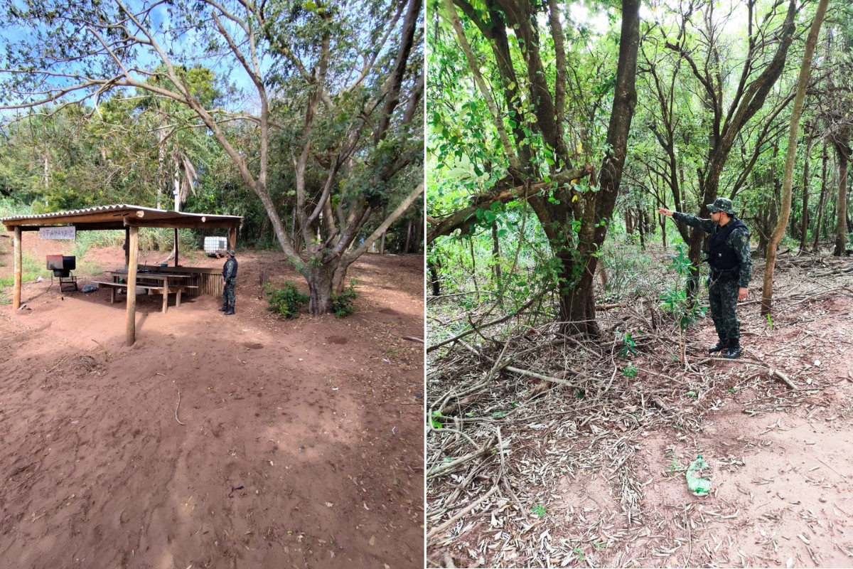 Dupla é multada em R$ 5,6 mil por danificar vegetação em área de preservação no interior de SP