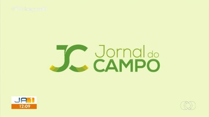 Veja os principais destaques do Jornal do Campo deste domingo (7)