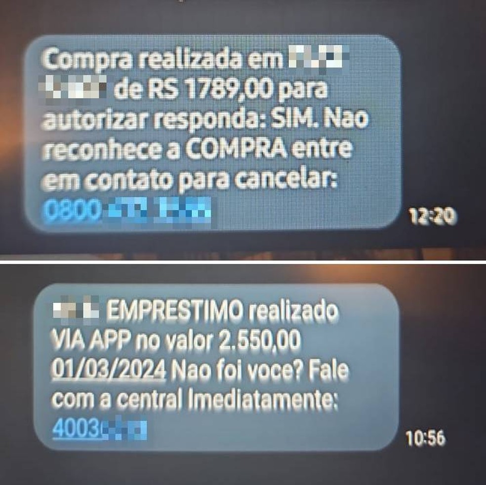 Em mensagens, golpistas tratam sobre compras e empréstimos para induzir vítimas a ligar para centrais de atendimento falsas e clicar em links maliciosos — Foto: Reprodução/Anatel