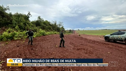 Multa de R$ 500 mil é aplicada por desmatamento ilegal no Bico do Papagio