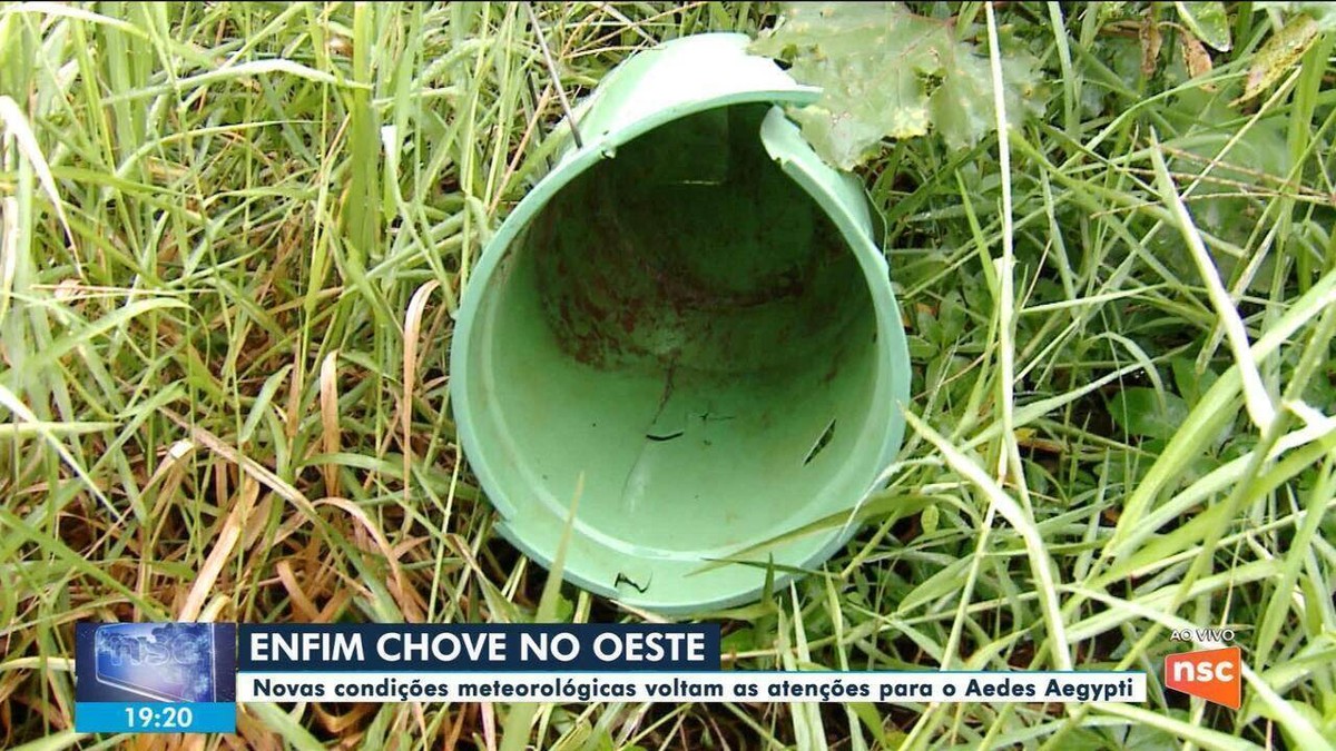 Por Causa Da Dengue Chapecó Decreta Situação De Emergência Santa Catarina G1 