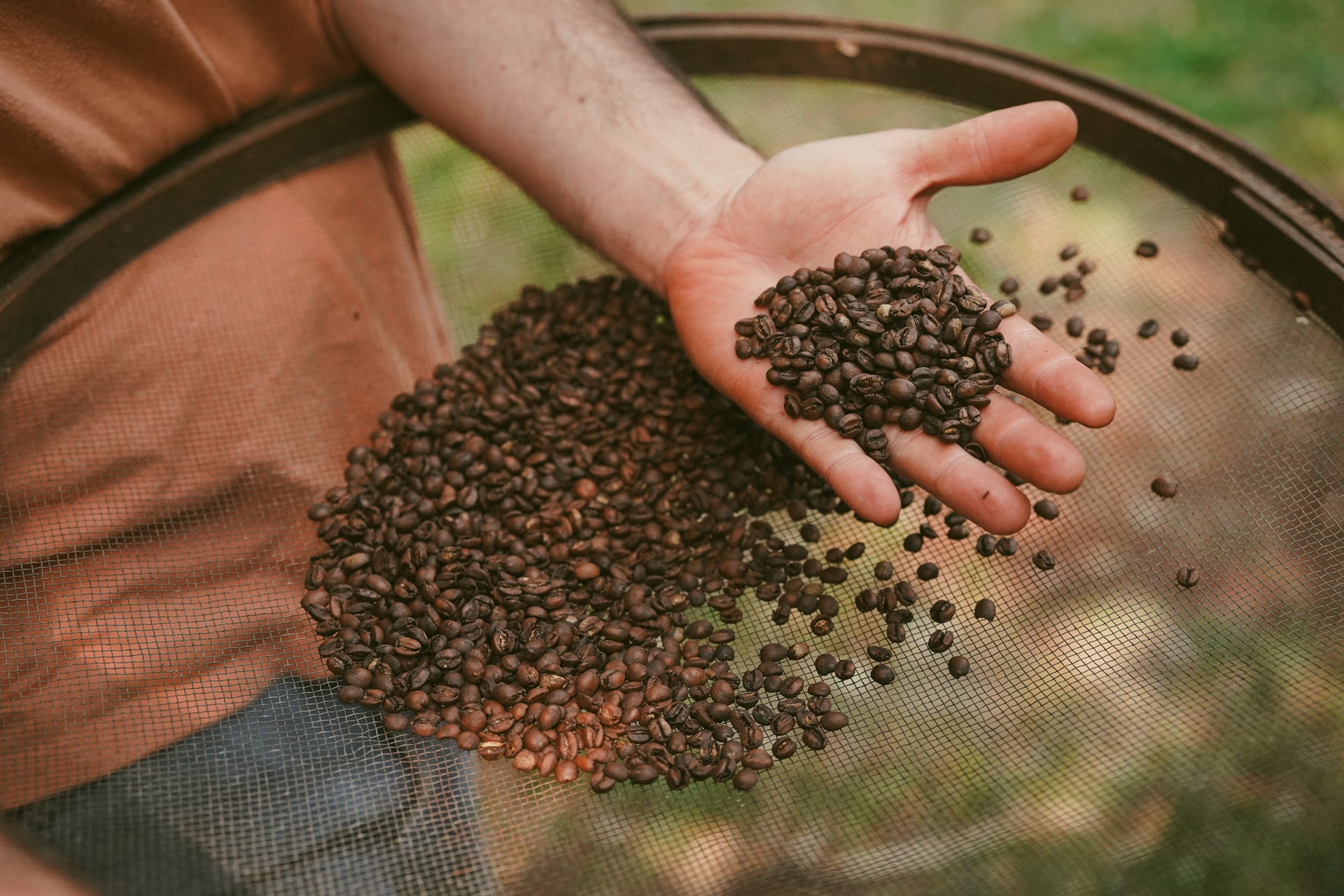 Café a quase R$ 50: entenda por que preço deve continuar subindo em 2025