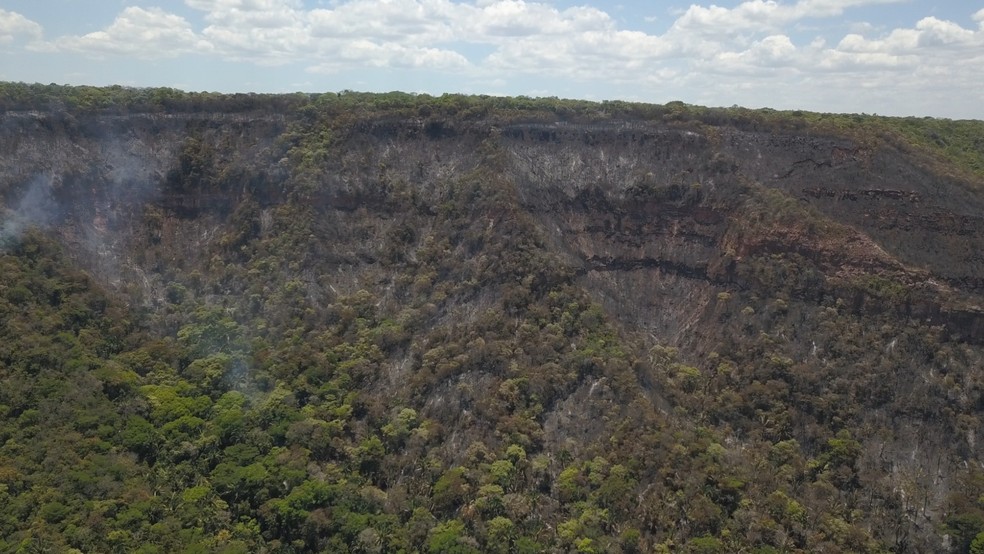 Primeira floresta nacional do Brasil é atingida por incêndio que dura três dias — Foto: Thiago Américo/Arquivo pessoal