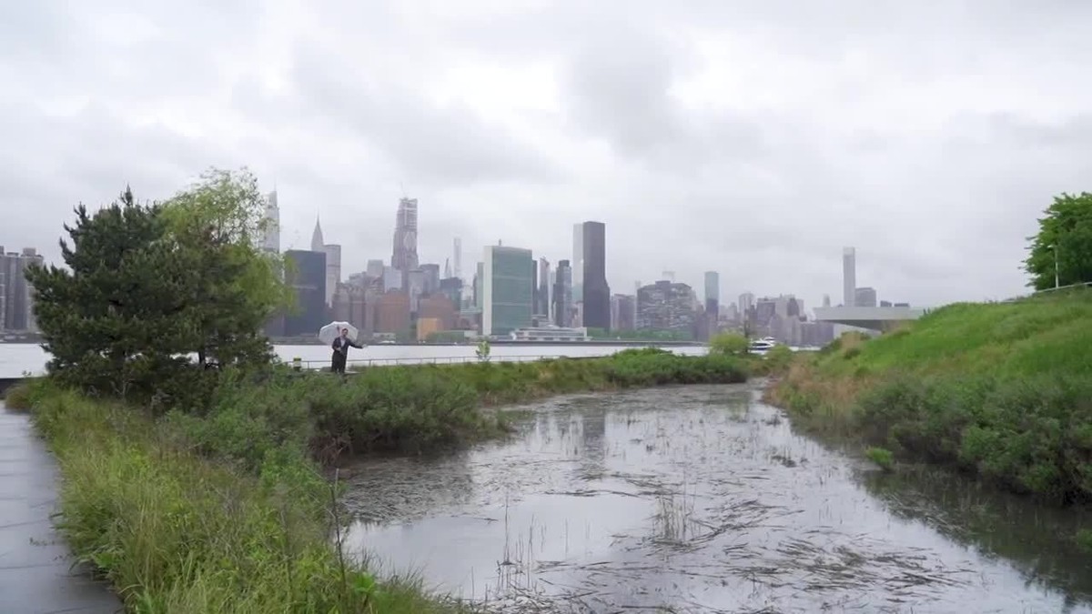 Parque de Nova York foi projetado para funcionar como esponja que absorve a água e evita que ela escoe para a cidade 