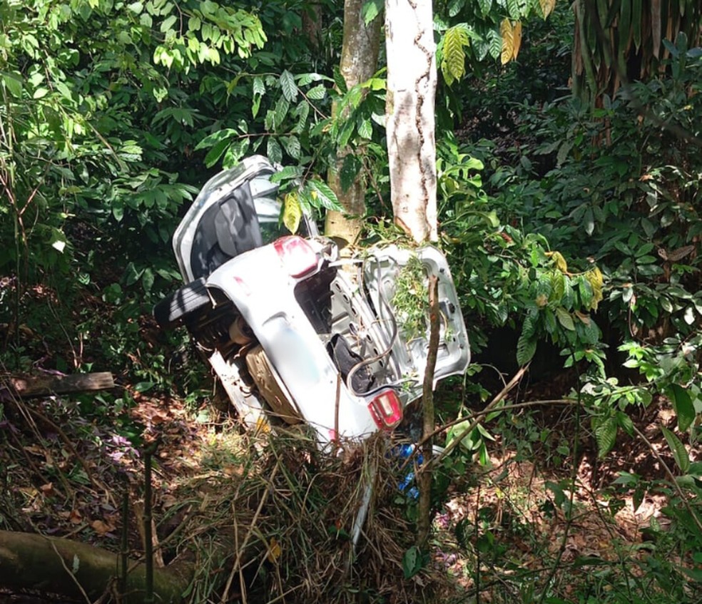 Carro bateu em árvore na BR-101, no sul da Bahia — Foto: Redes sociais