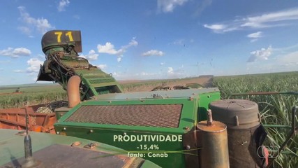 Confira as notícias do agronegócio no Giro do Campo